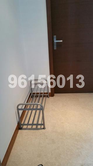 Residences @ Evelyn (D11), Condominium #131717642
